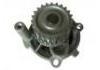 Water Pump:06B121019C