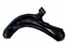 Brazo de suspensión Control Arm:54500-3DN0A