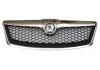 Grill Assembly:RS-P GRILLE
