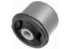 Suspension Bushing Suspension Bushing:6N0 501 541D